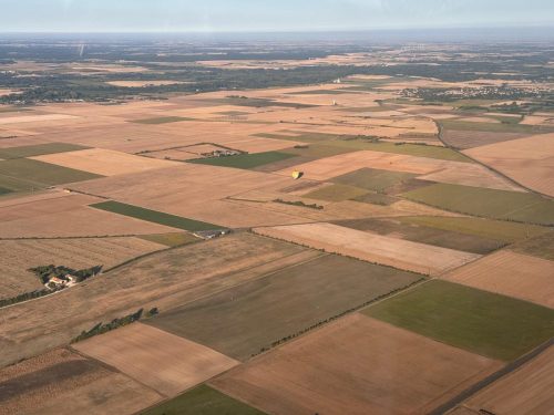 WhatsApp Image 2025-08-08 at 08.58.05 (1)