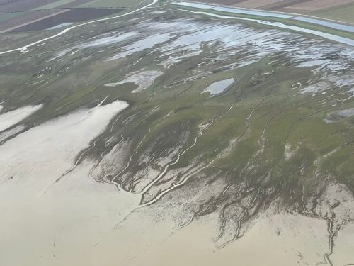 WhatsApp Image 2026-01-16 at 22.28.39