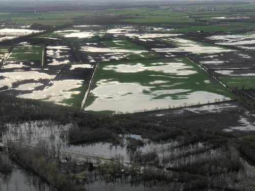 f0557387-c1e5-404e-a442-a6bb324ee45e